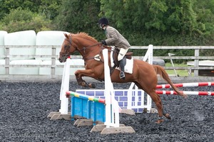 Class 5 - Fences not above 2'6